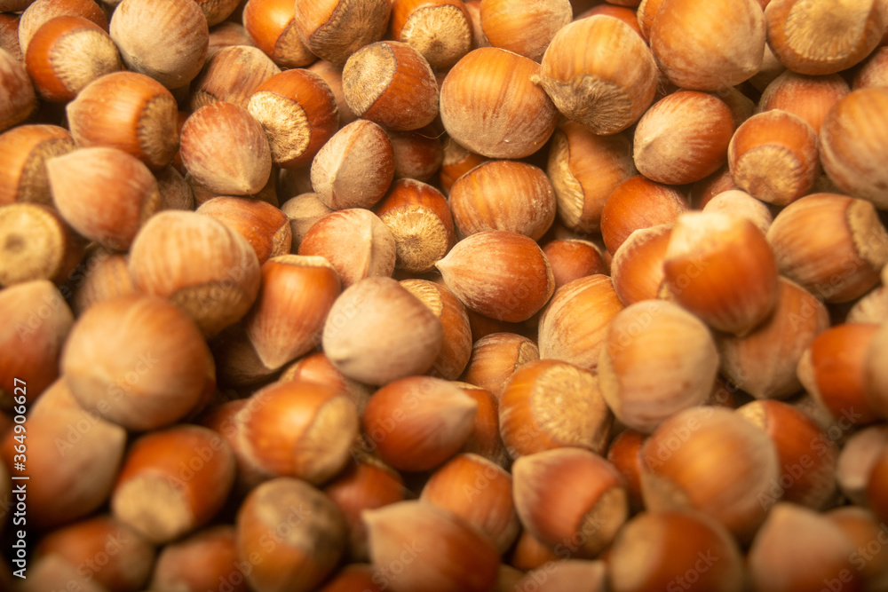 Hazelnuts in bulk. Surface texture. Close up. Hazelnuts in bulk. Surface texture. Close up.