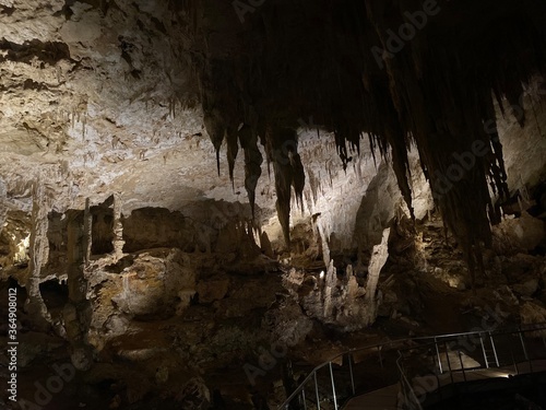 trees near the entrance of a cave