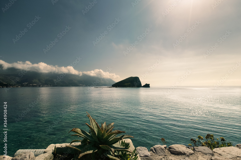 Early morning seascape. Sunlit path over Adriatic sea. Sun glare on the surface of the sea. Agava plant on foreground