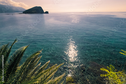 Obraz na płótnie Sunlit path over Adriatic sea. Sun glare on the surface of the sea. Palm leaves on foreground w salonie