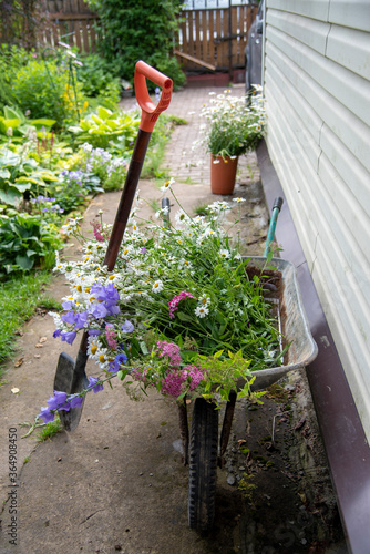 A garden wheelbarrow and a shovel stand against the wall of a country house covered with siding.