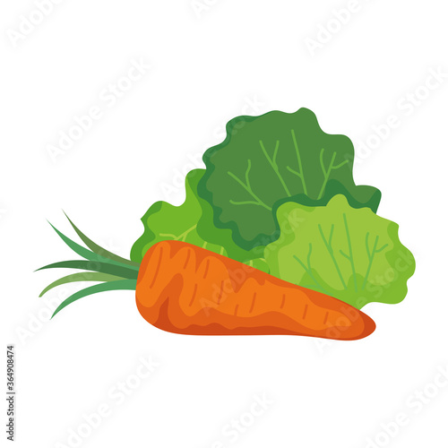 carrot and lettuce design, Vegetable organic food healthy fresh natural and market theme Vector illustration