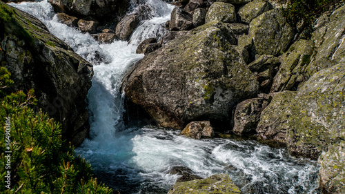 Mountain stream in the Tatra valley