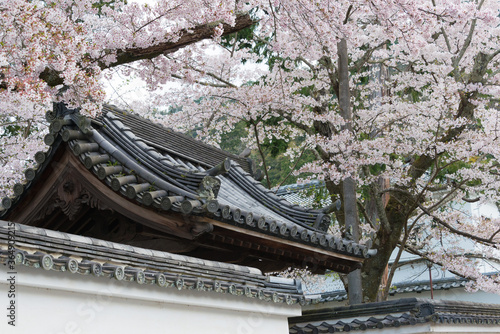 Nanzen-ji Temple in Kyoto, Japan. Emperor Kameyama established it in 1291 on the site of his previous detached palace. photo