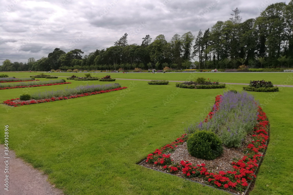 Park in Killarney, Ireland