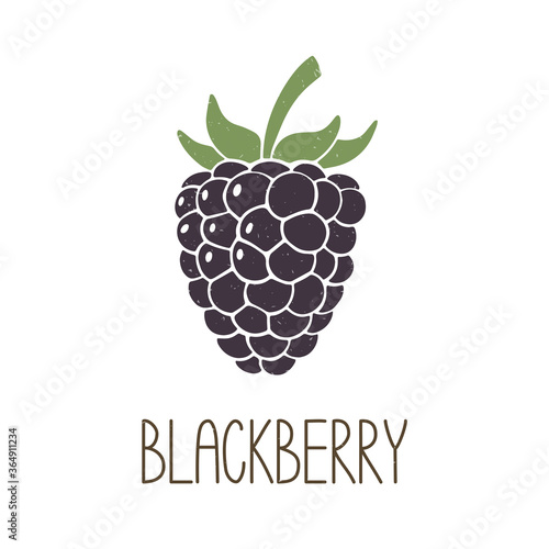 Cute purple caption blackberry isolated on transparent background. Colorful pictogram original design. Can be used for infographics, identity or decoration. Vector shabby hand drawn illustration