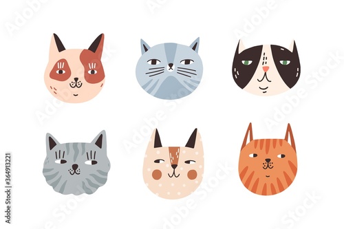 Set of different breeds cat muzzle vector flat illustration. Collection portraits of various cute childish domestic animals isolated on white. Spotty and striped kitty heads with design elements