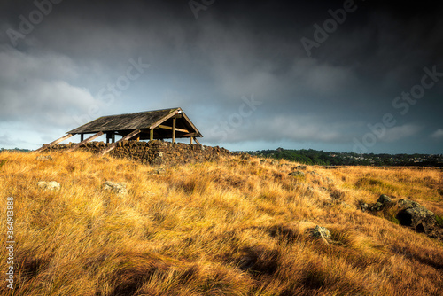 Ambury National park Auckland New Zealand 
 photo