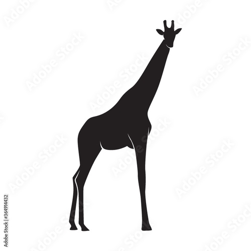 silhouette of a giraffe