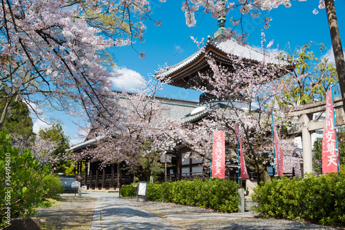 Honpo-ji  Temple in Kyoto, Japan. The Temple originally built in 1436. photo