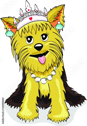 cute lovely Yorkshire Terrier Puppy wearing reckless earring tiara