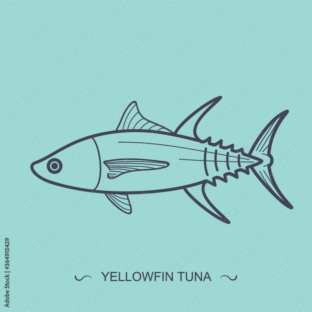 Obraz premium yellowfin tuna