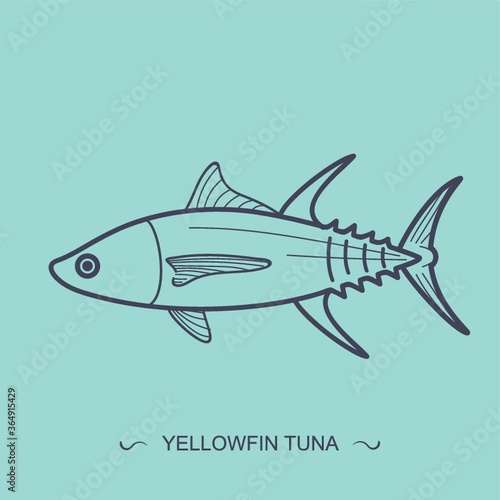 yellowfin tuna