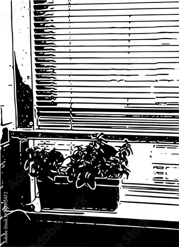 window and blinds silhouette