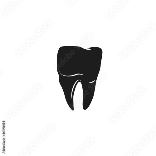 human molar tooth