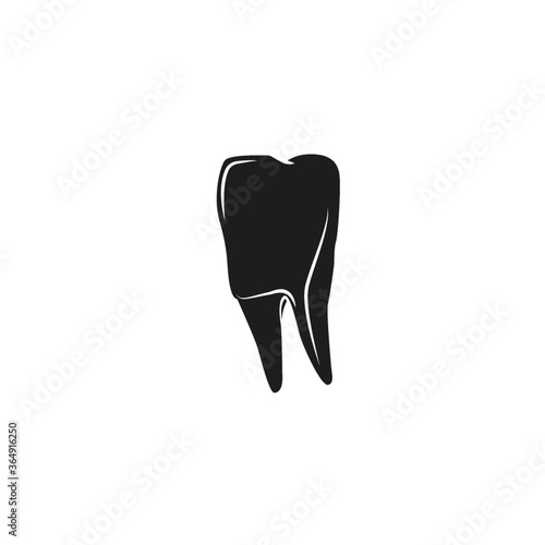 human molar tooth