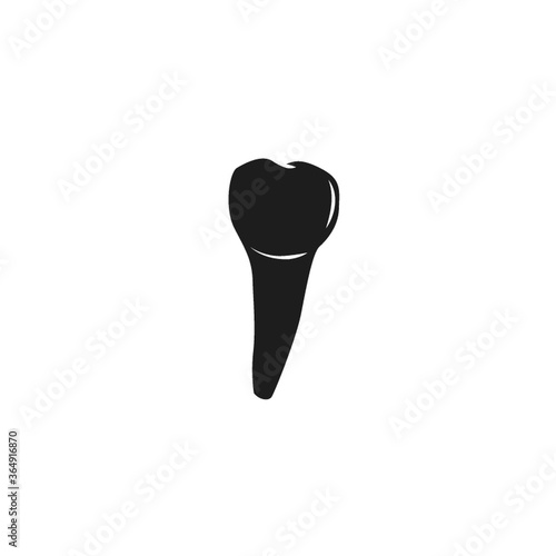 human premolar tooth