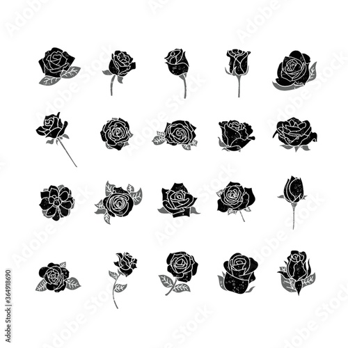 collection of roses