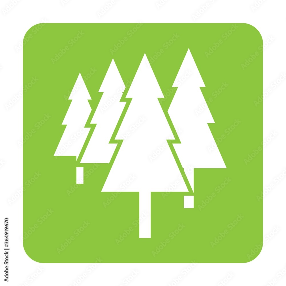 Fototapeta premium trees
