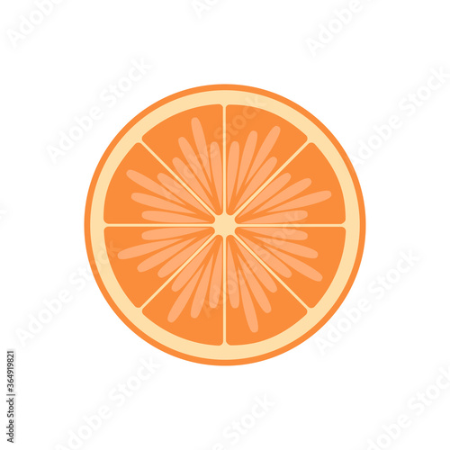 Cutaway fresh bright orange vector