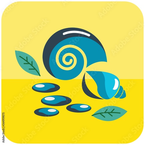 sea shell with stones