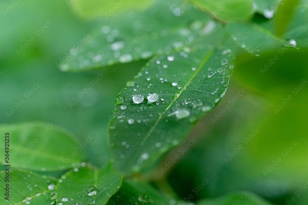 雨の日 雨の日