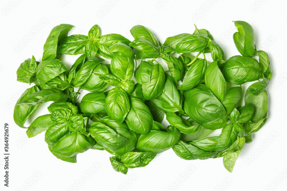 Basil leaves on a white isolated background. Fresh herbs, spices. Copy space, flat lay. Basil leaves on a white isolated background. Fresh herbs, spices. Copy space, flat lay.
