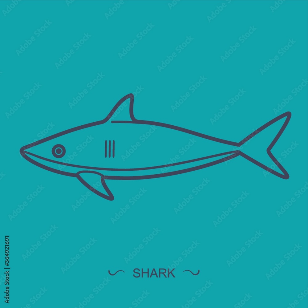 Fototapeta premium shark