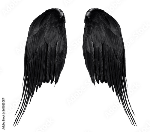 two real black angel wings with big feathers isolated on white background