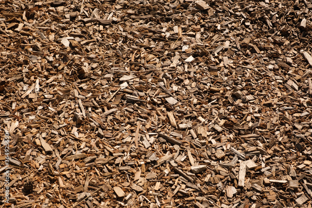 Mountain of fresh sawdust from a tree. Close up of a pile of wood chips Mountain of fresh sawdust from a tree. Close up of a pile of wood chips