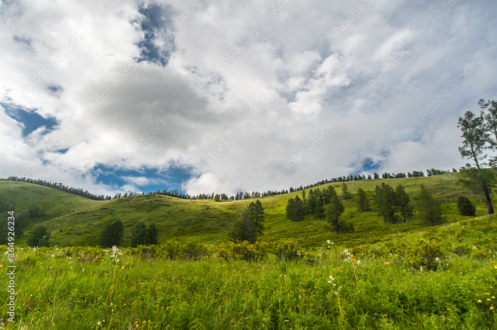 road along the path to the Altai Mountains with overcast skies road along the path to the Altai Mountains with overcast skies