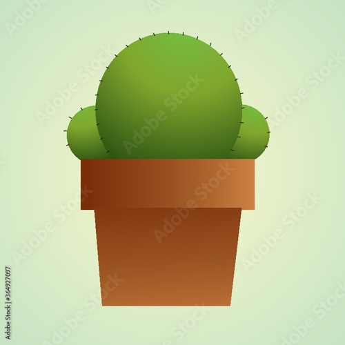 cactus plant