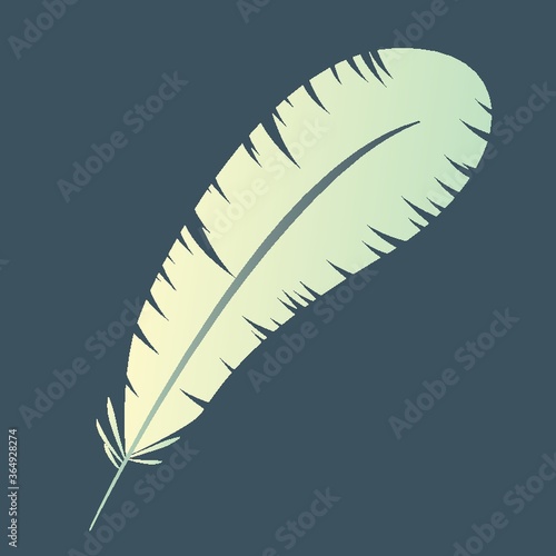 feather