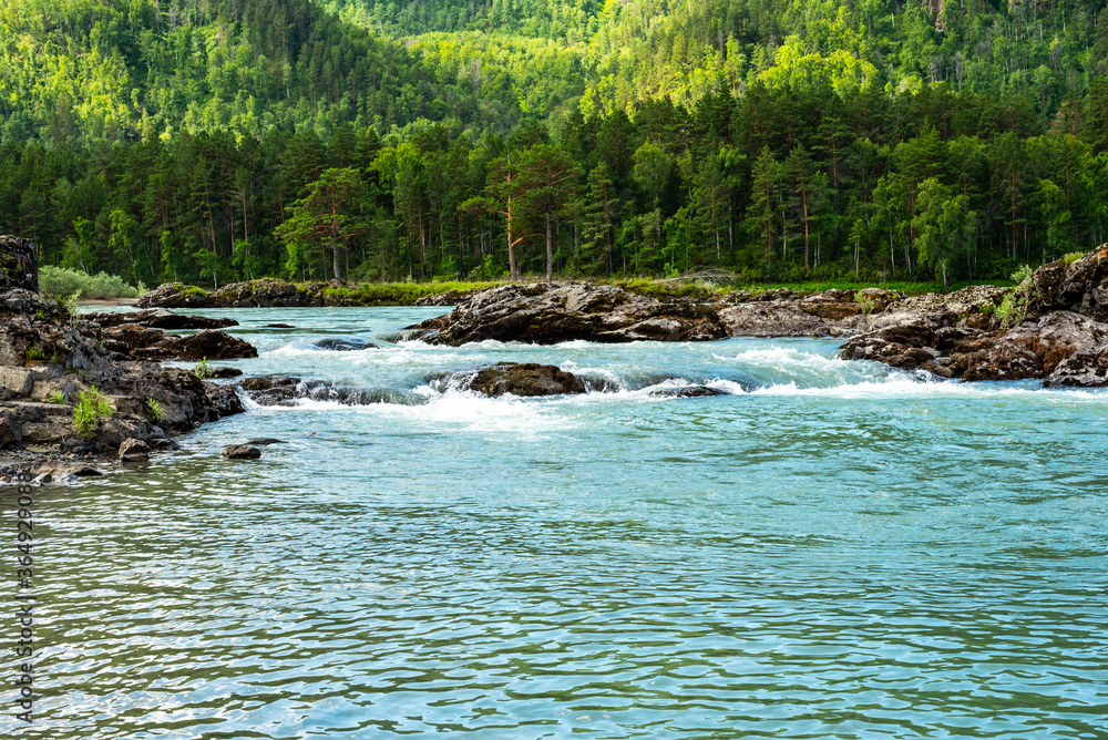 Stormy mountain river flowing along a mountain valley Stormy mountain river flowing along a mountain valley