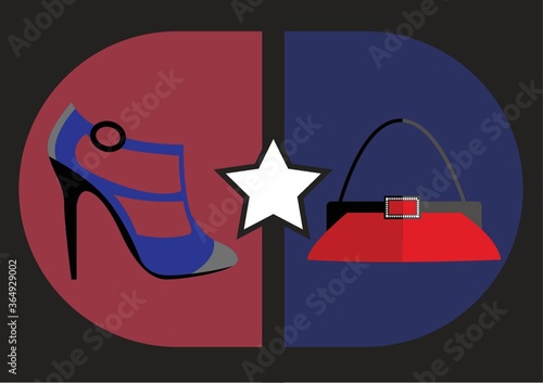 woman's footwear and handbag