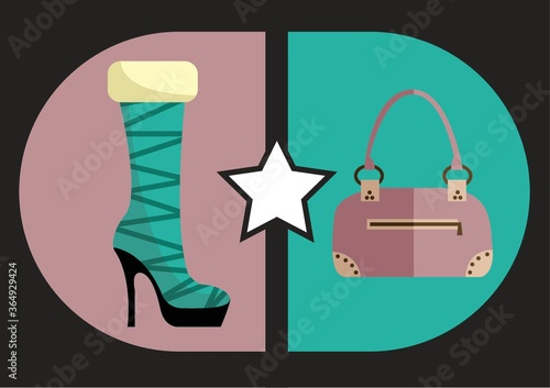 woman's footwear and handbag