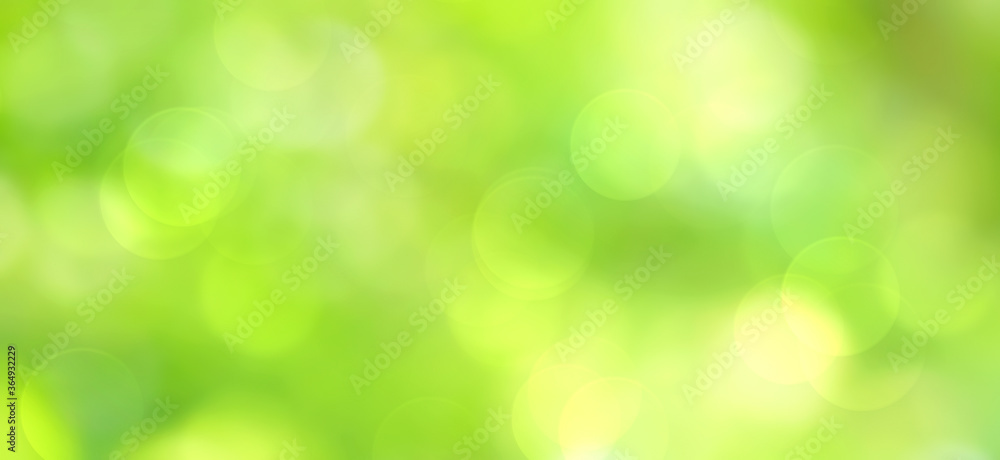 
Green bokeh abstract background