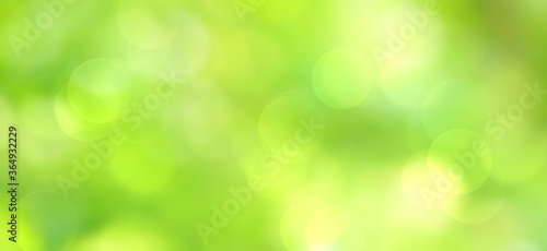 
Green bokeh abstract background