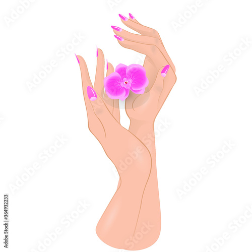 Beautiful woman hands with elegant, pink nail polish manicure. Vector illustration