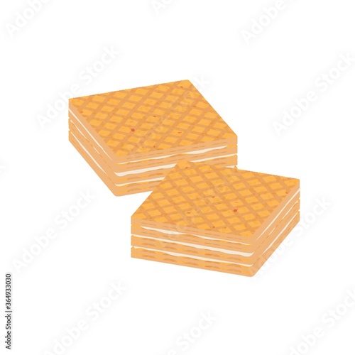 wafer