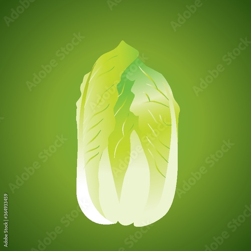 napa cabbage
