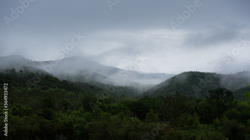 fog in the mountains