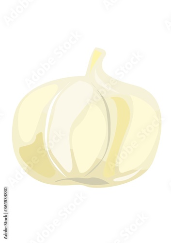 garlic