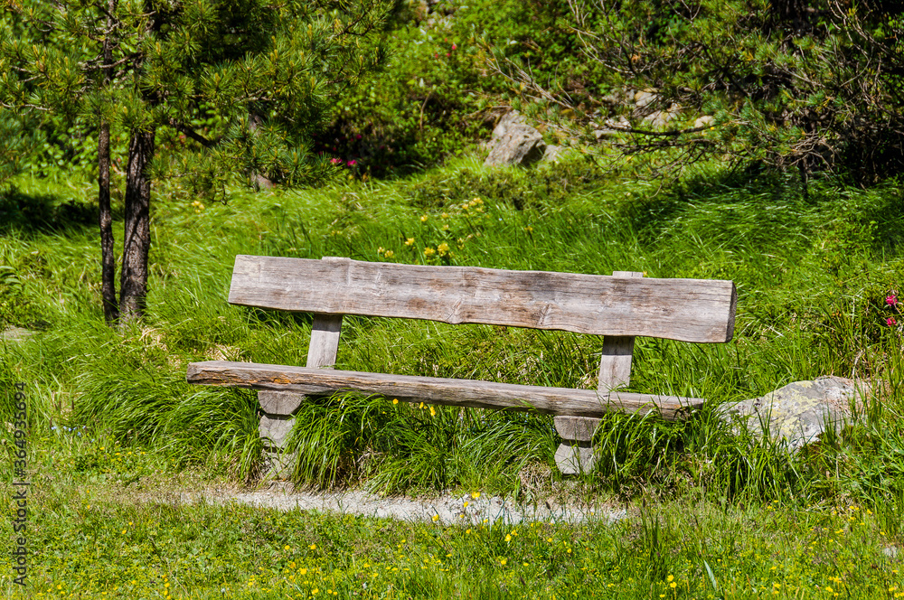 Val Roseg, Holzbank, Ova da Roseg, Rosegbach, Rosegtal, Wanderweg, Wald, Waldweg, Pferdekutsche, Kutschenfahrt, Berninagruppe, Oberengadin, Pontresina, Alpen, Sommer, Graubünden, Schweiz Val Roseg, Holzbank, Ova da Roseg, Rosegbach, Rosegtal, Wanderweg, Wald, Waldweg, Pferdekutsche, Kutschenfahrt, Berninagruppe, Oberengadin, Pontresina, Alpen, Sommer, Graubünden, Schweiz