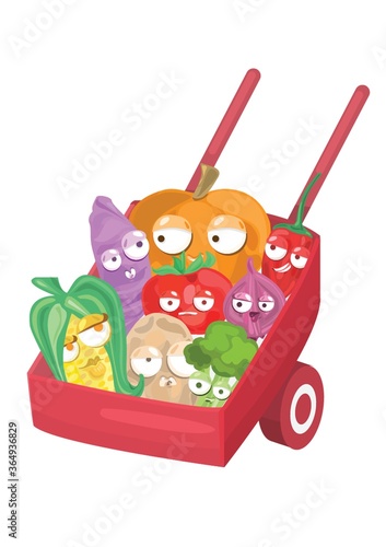 gardening wheelbarrow full with vegetables