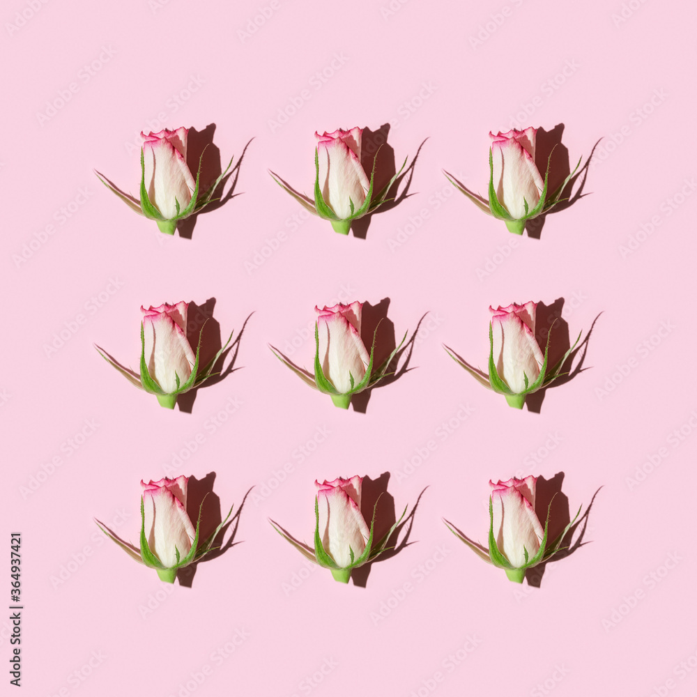 Greeting card with pink rose flower with dark shadow Greeting card with pink rose flower with dark shadow