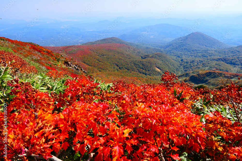栗駒国定公園、栗駒山の紅葉。栗原、宮城、日本。１０月上旬。