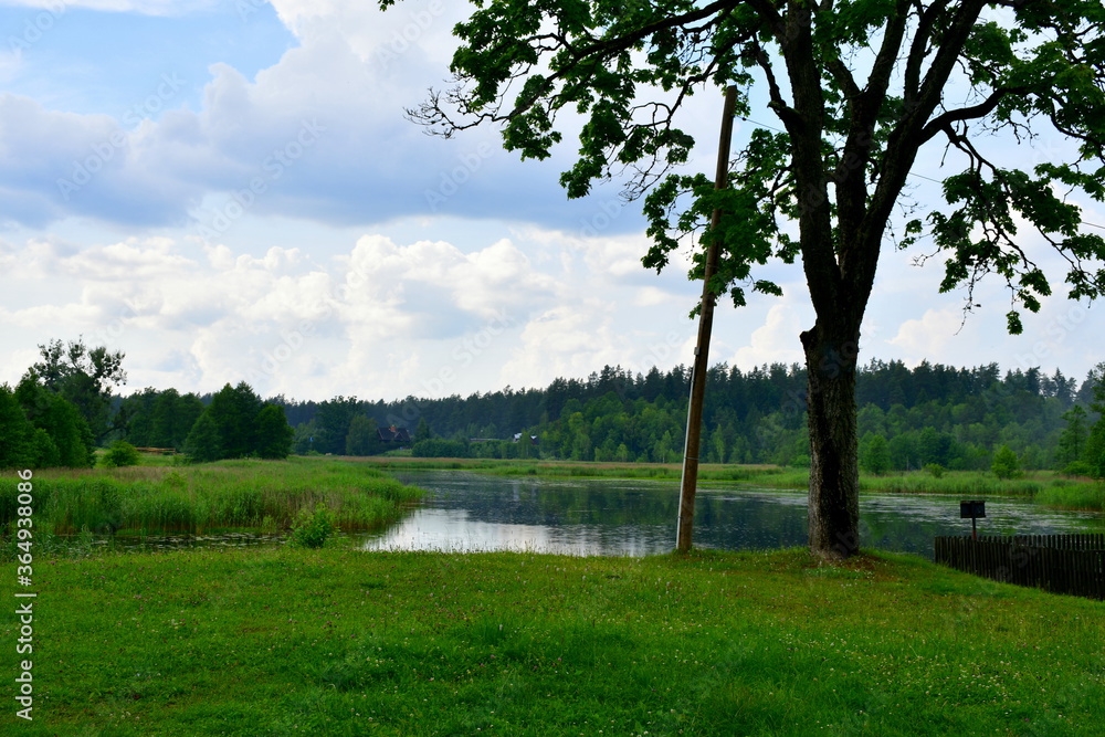 Obraz premium A view of the edge of a small river or lake covered with all sides with fields, meadows, and forest with a single deciduous tree in the foreground seen on a cloudy yet warm summer day in Poland