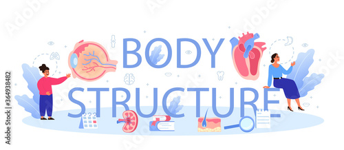 Body structure typographic header concept. Internal human organ