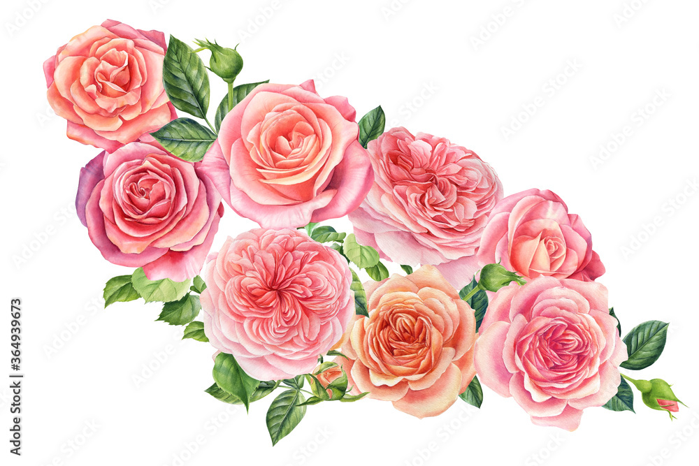 Fototapeta premium Bouquet of flowers pink roses, isolated white background. Watercolor delicate flowers 